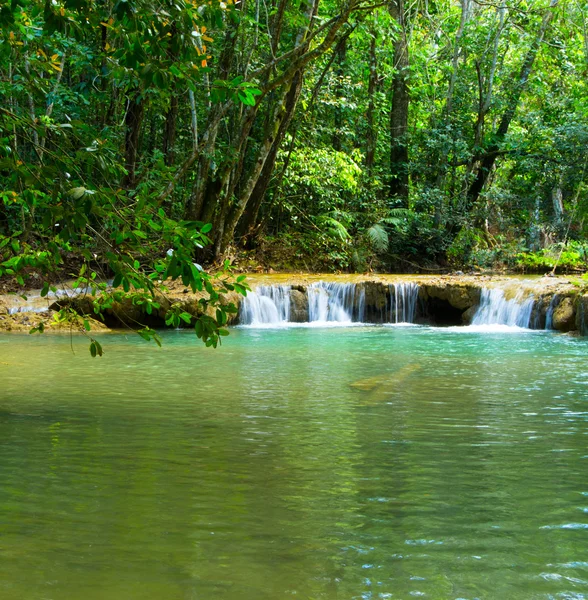 Corriente en la selva tropical —  Fotos de Stock