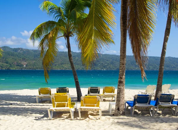 Beach chairs under palm trees — Stock Photo, Image