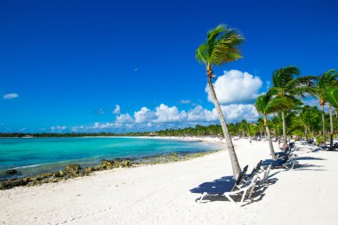 tropikal deniz ve gökyüzü