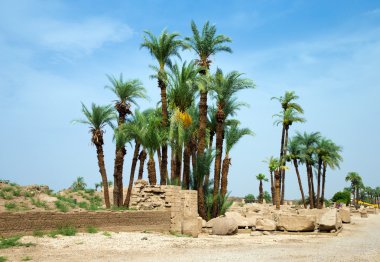 Karnak Tapınağı Mısır