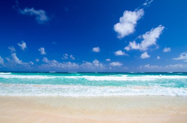 plaj ve tropikal deniz