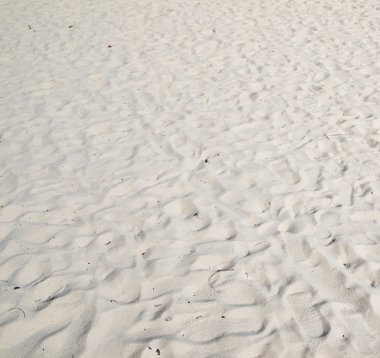 mercan kum arka plan