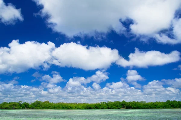 Mar tropical bonito — Fotografia de Stock