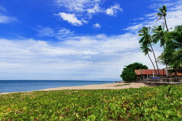 Beach and tropical sea — Stock Photo, Image