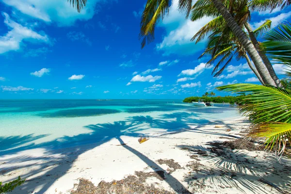 Strand und tropisches Meer — Stockfoto