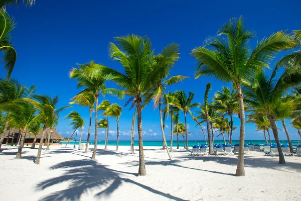 Playa y mar tropical — Foto de Stock