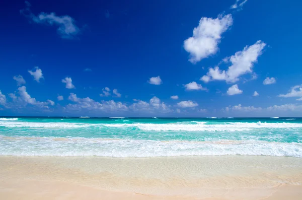 Spiaggia e mare tropicale — Foto Stock