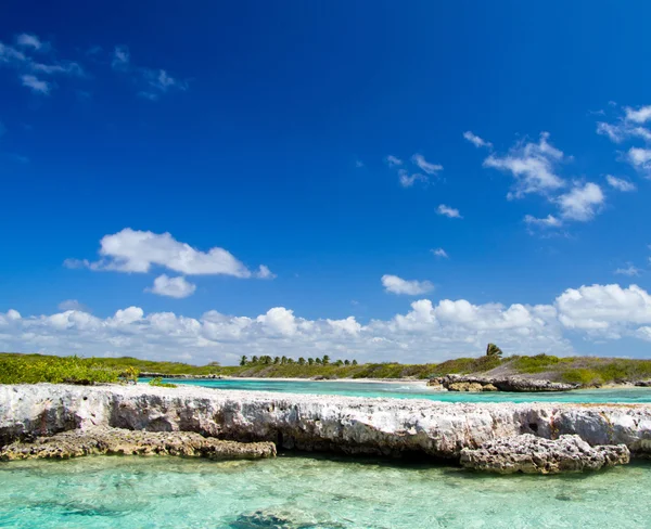 Spiaggia e mare tropicale — Foto Stock