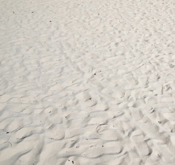 산호 모래 배경 — 스톡 사진
