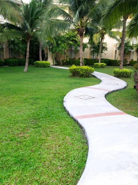 Giardino sentiero in pietra con erba — Foto Stock