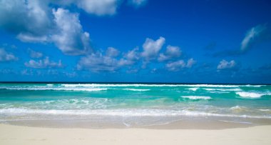 plaj ve tropikal deniz