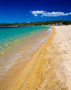 plaj ve tropikal deniz