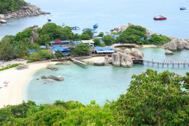 plaj ve tropikal deniz