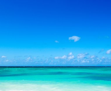 plaj ve tropikal deniz