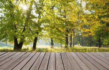 Orman ağaçları ahşap