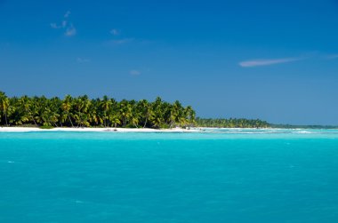plaj ve tropikal deniz