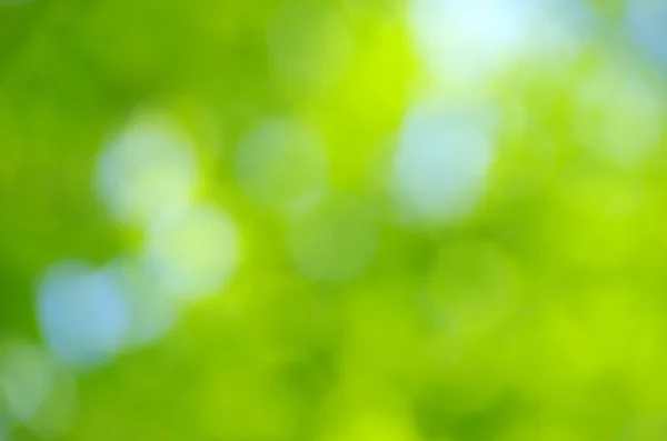 Naturgrüner Hintergrund — Stockfoto