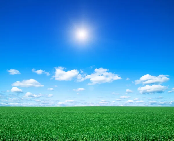 Campo verde e cielo blu — Foto Stock