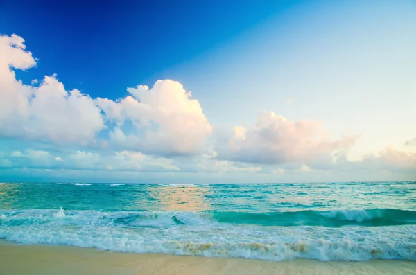 Пляж и тропическое море — стоковое фото