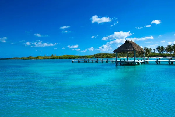 Playa y mar tropical — Foto de Stock