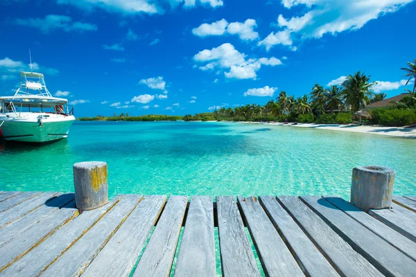 Playa y mar tropical — Foto de Stock