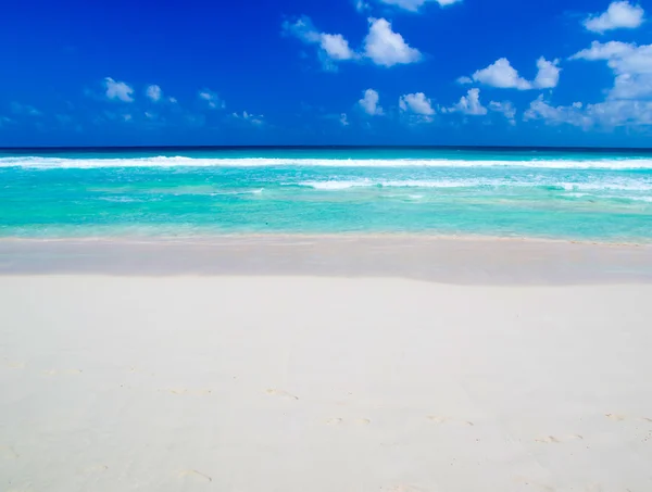 Spiaggia e mare tropicale — Foto Stock