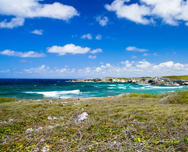 Spiaggia e mare tropicale — Foto Stock