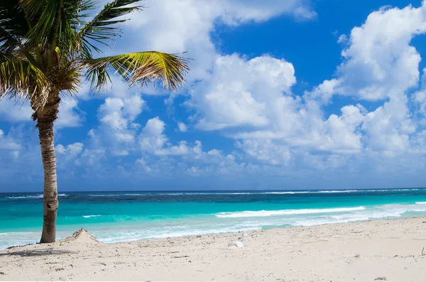 Beach and tropical sea — Stock Photo, Image