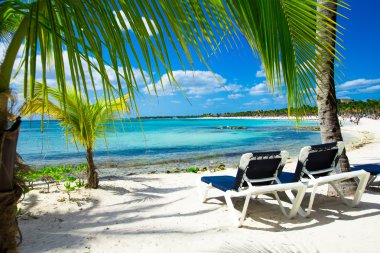 plaj ve tropikal deniz