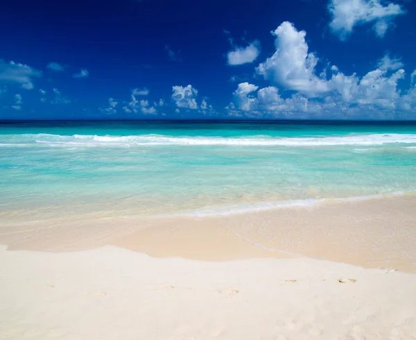 Deniz plajı ve mavi gökyüzü, — Stok fotoğraf
