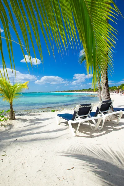 Beach and tropical sea — Stock Photo, Image