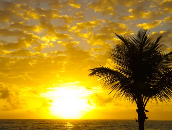 Céu fundo no nascer do sol — Fotografia de Stock