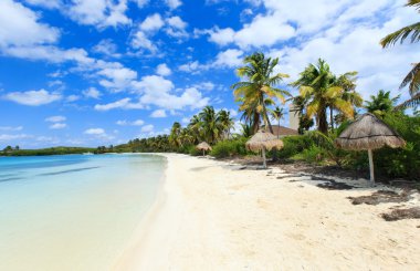 tropikal deniz mavi gökyüzü altında