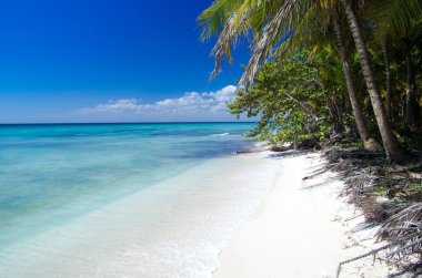 tropikal deniz mavi gökyüzü altında