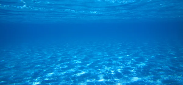 Tranquillo scena subacquea — Foto Stock