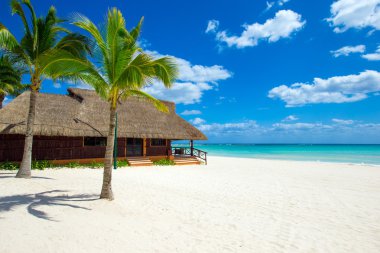 plaj ve tropikal deniz