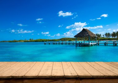 plaj ve tropikal deniz