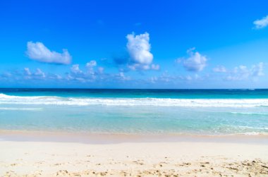 plaj ve tropikal deniz