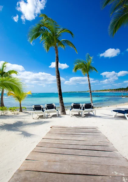 Playa y mar tropical — Foto de Stock