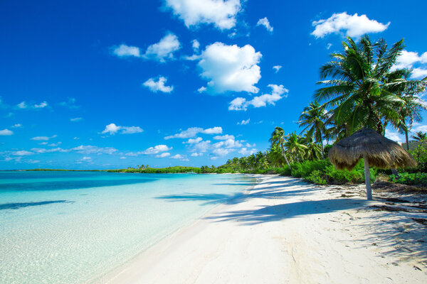 beach and tropical sea