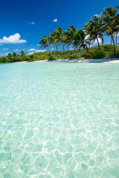 Beach and tropical sea — Stock Photo, Image