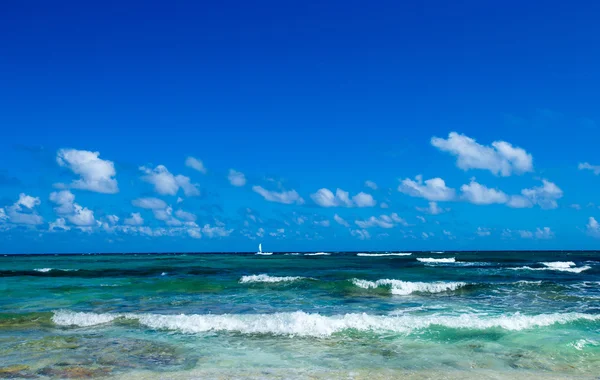 Тропическое море под голубым небом — стоковое фото