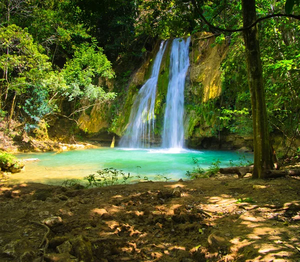 Waterfall in  green forest — Stock Photo, Image