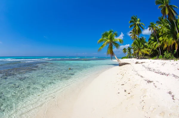 Praia e mar tropical — Fotografia de Stock