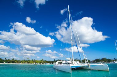 plaj ve tropikal deniz