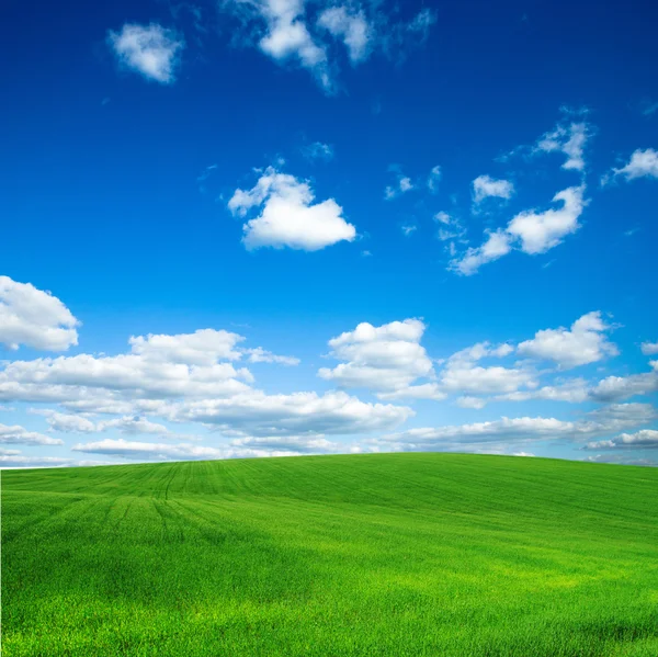 Campo verde e céu azul — Fotografia de Stock