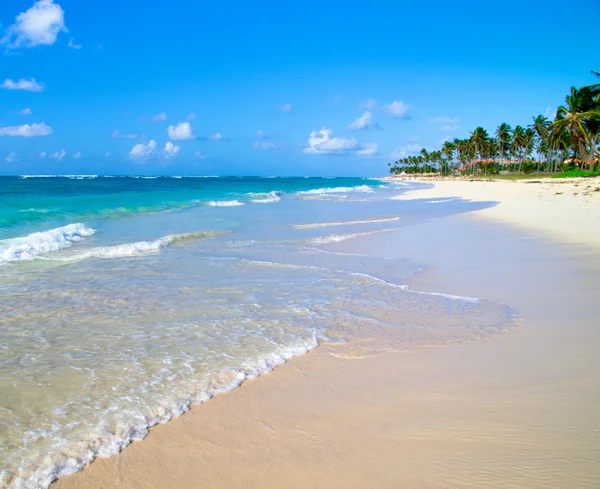 Playa y mar tropical —  Fotos de Stock