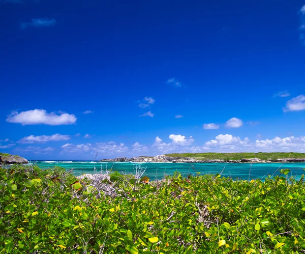 Spiaggia e mare tropicale — Foto Stock