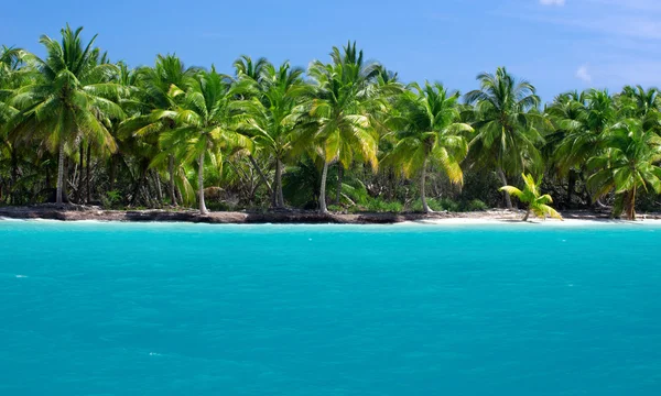 Playa y mar tropical — Foto de Stock