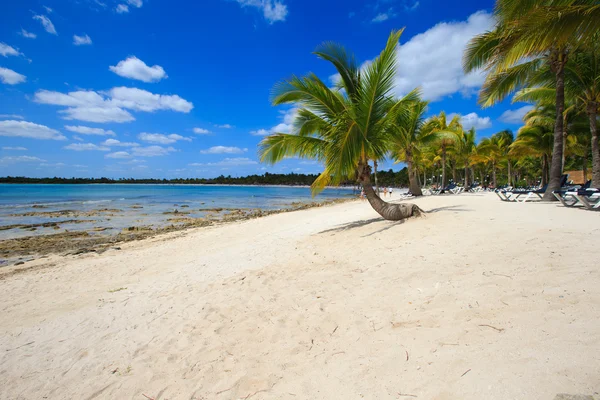 Vackra tropiska havet — Stockfoto